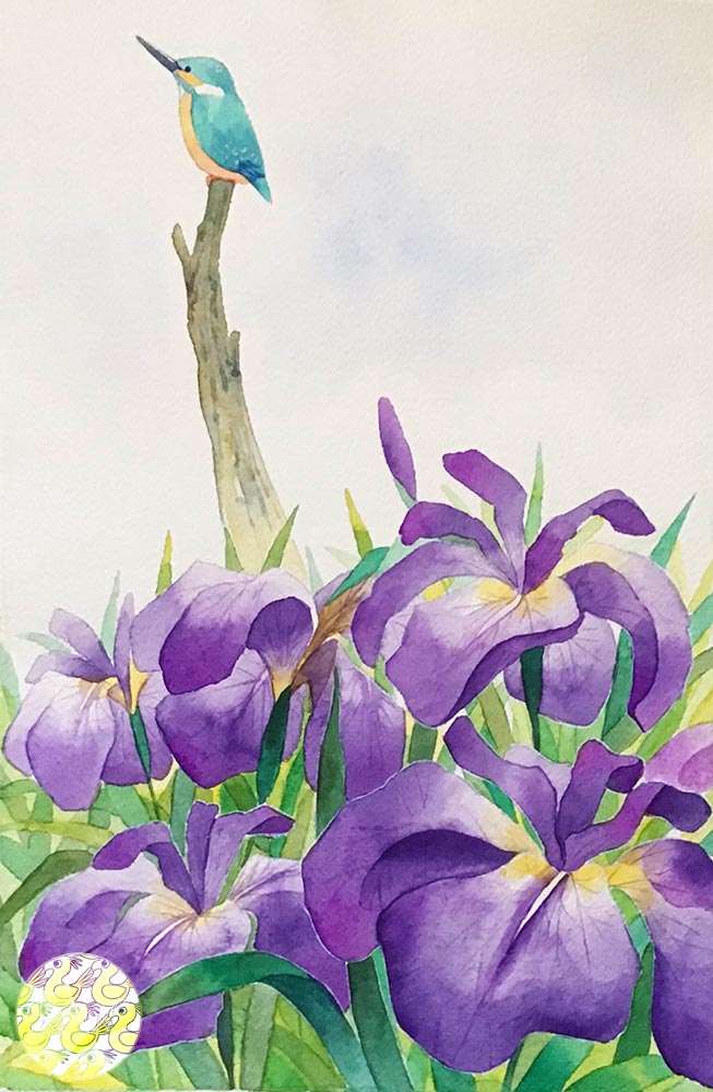 カワセミと菖蒲